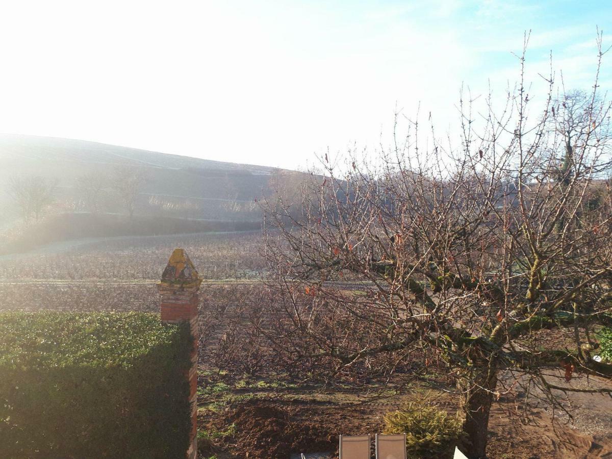 La Maison Des Vignes Charentay Exteriör bild